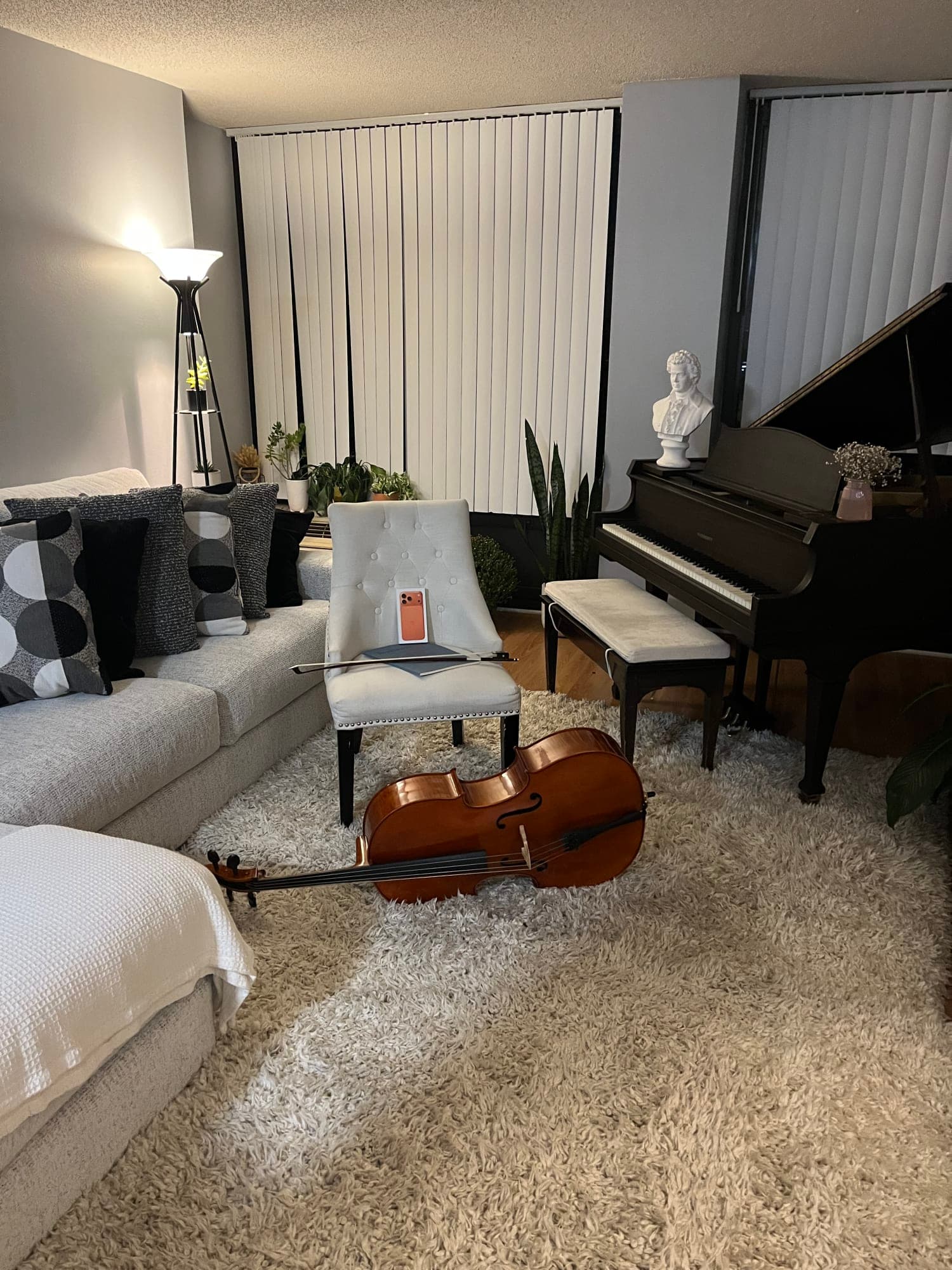 Andrei Liquer's piano studio background